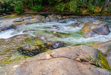 Washington 'da Rocky Denny Creek' in coşkusu.