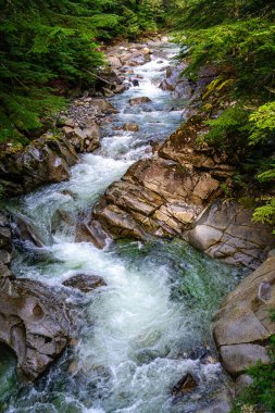Washington 'daki Denny Creek' te akan su manzarası.