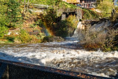 Tumwater, Washington 'da akan Deschutes Nehri' nin kenarında bir gökkuşağı..