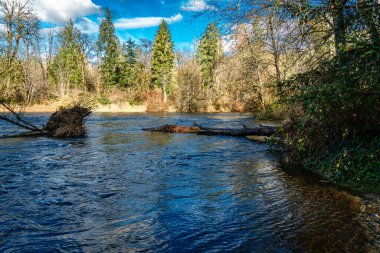 Yeşil Nehir Washington eyaletindeki Yanan Gayzer Eyalet Parkı 'nı geçiyor..