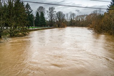 Kent, Washington 'daki Green River' da su çok yüksektir..