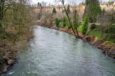 Renton, Washington 'daki Cedar Nehri manzarası. Aylardan Aralık..