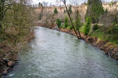 Renton, Washington 'daki Cedar Nehri manzarası. Aylardan Aralık..