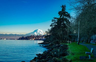 Ruston, Washington 'dan Rainier Dağı' nın manzarası..