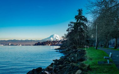 Ruston, Washington 'dan Rainier Dağı' nın manzarası..