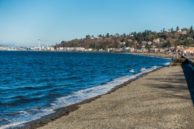 Alki Beach Shoreline