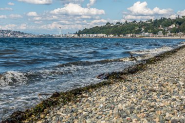Alki Beach Batı Seattle 2
