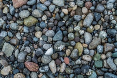 Arka plan Shorline çakıl taşları