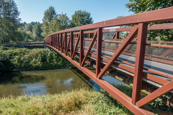 Puente del río verde de caminar 2 — Foto de Stock