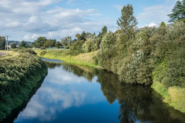 Reflexión del río verde — Foto de Stock