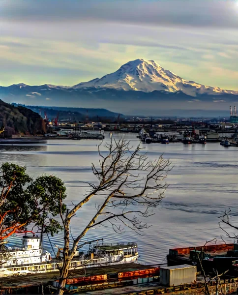 Görkemli Mount Rainier Hdr — Stok fotoğraf