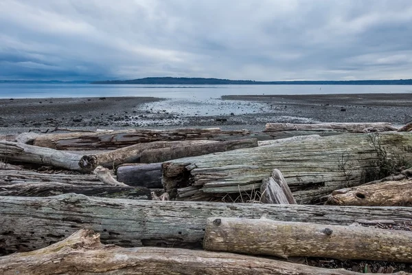 Sakin Puget Sound düşük Tide At — Stok fotoğraf