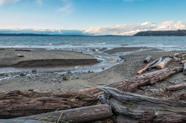 Kuzeybatı Pasifik deniz manzarası