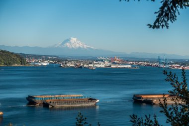 Mount Rainier ve bağlantı noktası 2