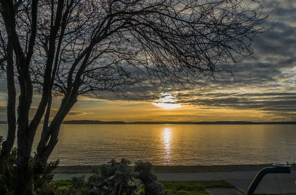 Pôr do sol amarelo sobre Puget Sound — Fotografia de Stock
