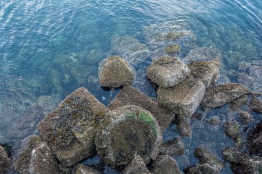 Kıskaç çimento üzerinde