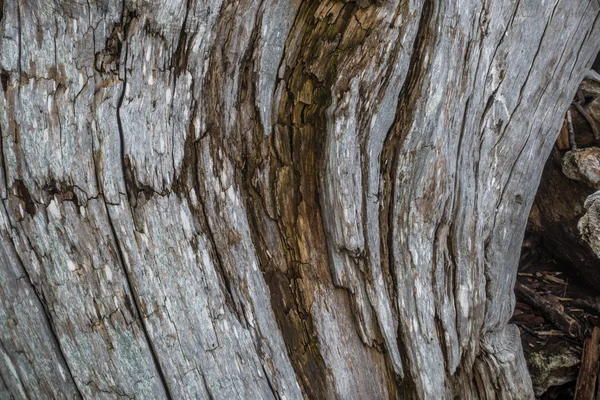 Fondo de madera a la deriva Primer plano —  Fotos de Stock