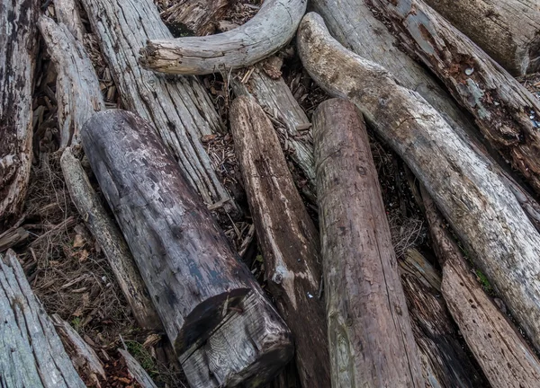 Grumes de bois flotté Contexte — Photo