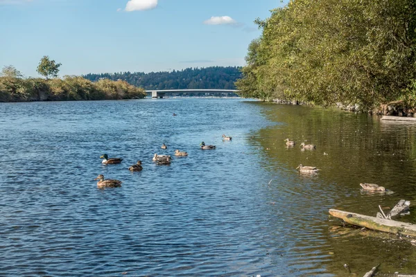 Sedir Nehri Köprüsü