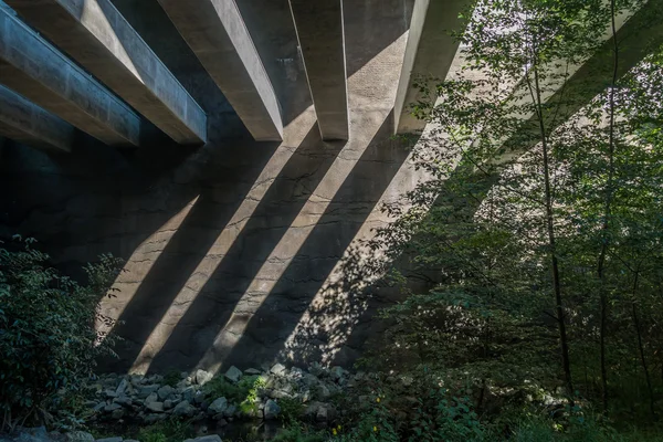 Des Moines Creek Trail viaduct — Stockfoto