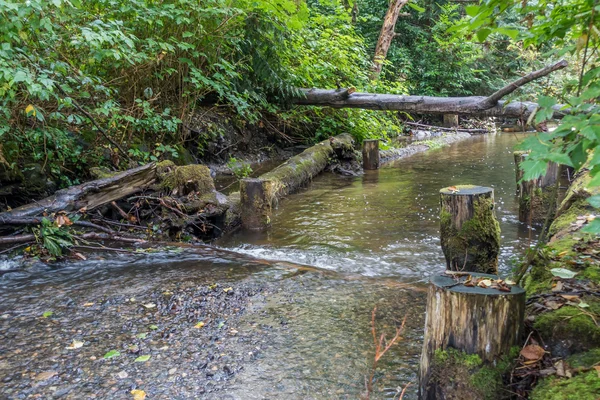 Des Moine Creek Fluyendo — Foto de Stock