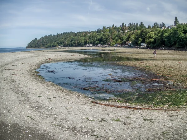 Des moines Küste bei Ebbe — Stockfoto