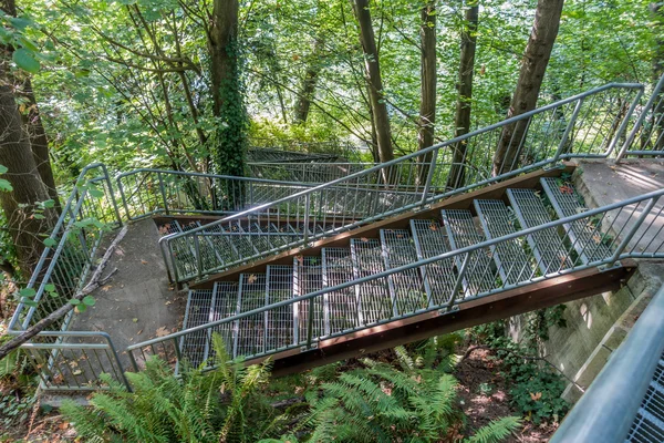 Ealge 방문 계단 — 스톡 사진