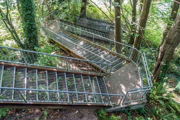 Escaleras de aterrizaje de águila 5 —  Fotos de Stock