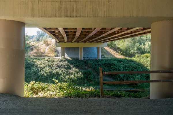 Paso elevado del río verde 3 — Foto de Stock