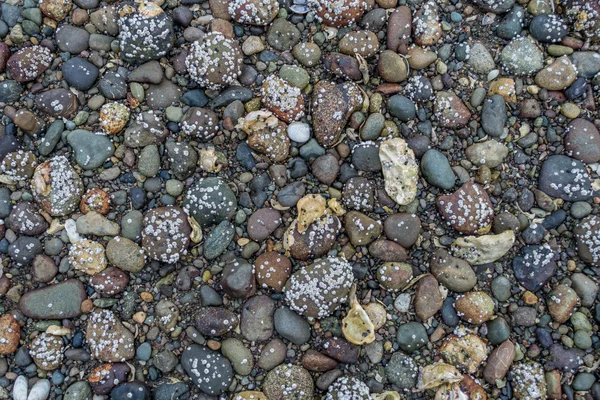 Κουκούλα καναλιού Shore βράχια — Φωτογραφία Αρχείου