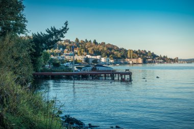 Lake Washington - kıyı