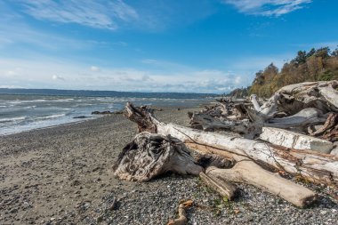 Normandy Park kıyı