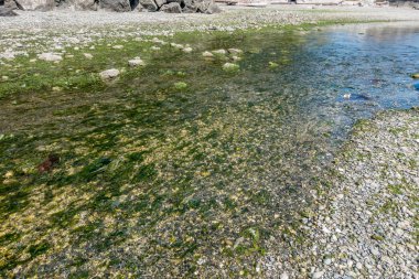 Normandy Park dere 4