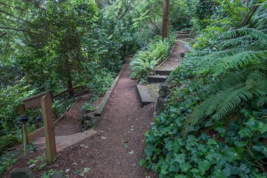 Bir mahalle ile yolu