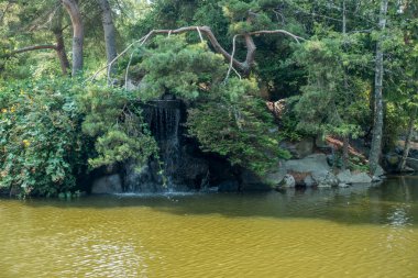 Şelale noktası meydan okuma