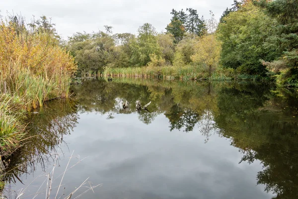 Teich im Park der Normandie — Stockfoto
