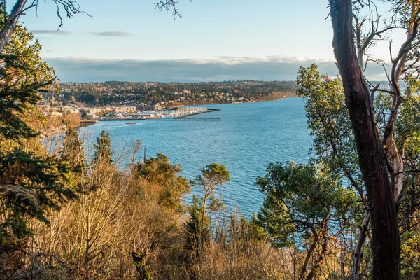 Pacific Northwest Marina — Stock Photo, Image