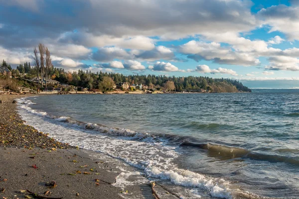 Pacific Northwest strandlinjen 2 — Stockfoto