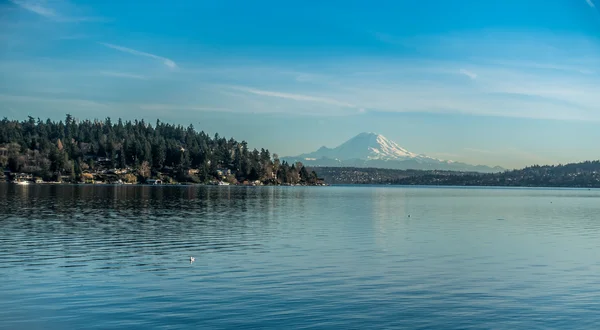 Lake Washington Rainier — Stok fotoğraf