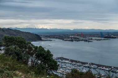 Mount Rainier ve Marina