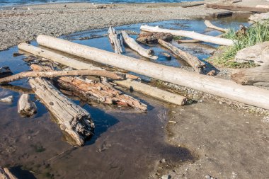 Seahurst Dirftwood 2 günlüğe kaydeder.