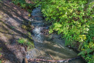 Akış Seahurst Park