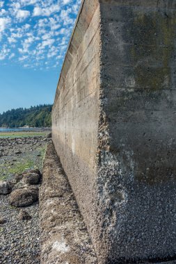 Deniz kenarındaki sete erozyon portre