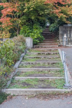 Ağaçlar ve adımlar 2