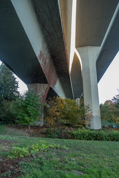 Puente de Seattle 3 — Foto de Stock