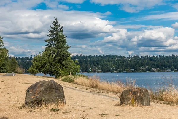 Seward Park verano — Foto de Stock