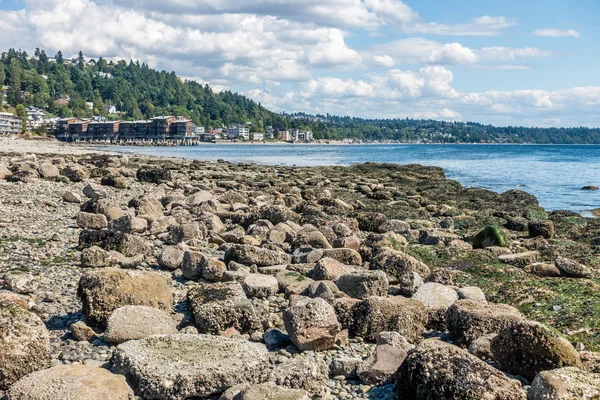 Costa del oeste de Seattle —  Fotos de Stock