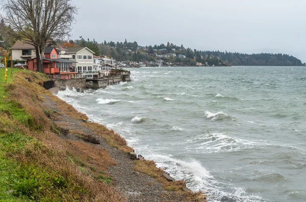 Batı Seattle sahil evleri