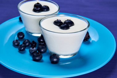 Üzerinde yaban mersini olan beyaz çikolatalı mus ve renkli bir arka plan. Yumurta, krema, vanilya ve beyaz çikolatadan yapılmış bir Fransız tatlısı..