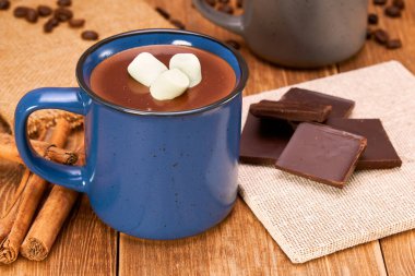 Yanında çikolata parçacıklı çikolata ve ahşap bir yüzeyde tarçın çubukları olan bir fincan İspanyol sıcak çikolatası. Reklam için kopyalama alanı. kırsal kavram.